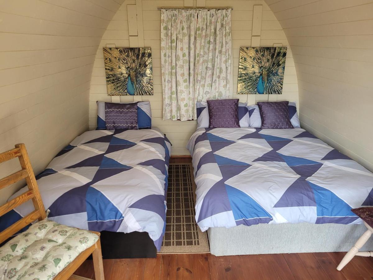 Shannon Estuary Glamping Effernan Exterior photo